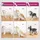 Petkit AIRCLIPPER 5-in-1 Pet Grooming Kit