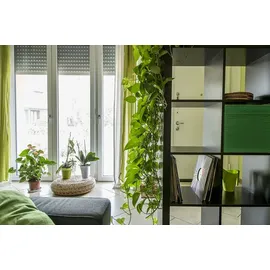 Nodon SIN-2-RS-01 EnOcean Unterputz-Rollladen-Modul Orange