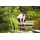 AL-KO Tauchpumpe Drain 12000 Comfort 850 W, 12.000 l/h max. Fördermenge, 10 m Kabel
