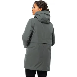 Jack Wolfskin Salier Winterjacke Damen - Grün - S