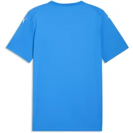 Puma teamFINAL Graphic Jersey blau/weiß XL