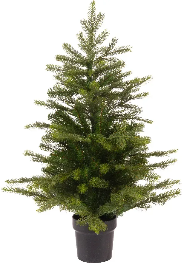 Mini Tannenbaum im Topf  90cm