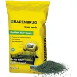 Barenbrug Resilient Blue Strapazierfähig 5 kg Trittfest!