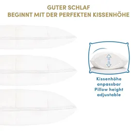 Schlafmond Kopfkissen LILLY 40 x 80 cm Beige