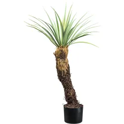 Creativ green Kunstpflanze »Yucca Rostrata«, mit außergewöhnlichem Stamm Creativ green grün-grau