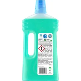 Meister Proper Allzweckreiniger Frühlingserwachen 1000 ml