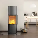 Spartherm Passo S RLU Kaminofen Titan + 1 m3 Kaminholz gratis
