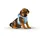 Curli Clasp Vest Hundegeschirr Skyblue-Circles S
