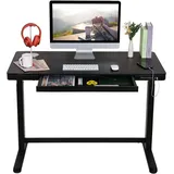 FLEXISPOT Elektrisch Höhenverstellbarer Schreibtisch 120cmx60cm mit Schublade, Touch-Funktion und USB, Elektrischer Schreibtisch (Schwarz) - Schwarz