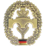 normani Original Bundeswehr Barettabzeichen aus Metall in verschiedenen Sorten zur Auswahl Farbe Pioniere