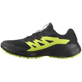 Salomon Herren Alphaglide GTX schwarz