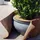 Videx Garden Cocos Winterschutzmatte 150 x 50 cm