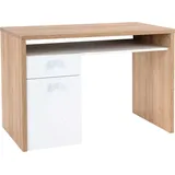 Composad Schreibtisch Globo Holzoptik River Blue