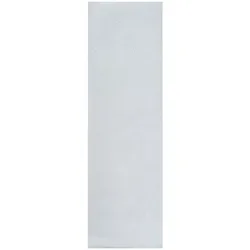 Globe Skateboard Griptape transparent