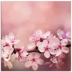 Glasbild ARTLAND "Kirschblüten", pink (farbe bild(er): pink), B:30cm H:30cm, Bilder, in verschiedenen Größen
