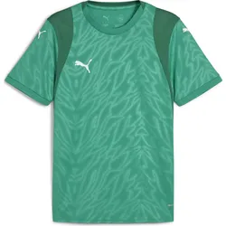 Puma Teamcup Jersey sport green-puma white-power green (05) XXL