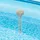 BESTWAY Pool-Thermometer grau 0,25 m