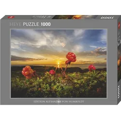 Heye Cloudberries Edition Alexander von Humboldt, 1000 Teile Puzzle