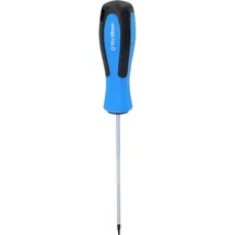 BRILLIANT TOOLS Schraubendreher TORX T6 Klingenlänge 100 mm