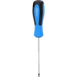 BRILLIANT TOOLS Schraubendreher TORX T6 Klingenlänge 100 mm
