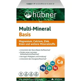 Hübner Basis Balance Mineralstoffe Pur Pulver 800 g