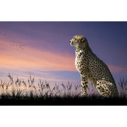 Fototapete PAPERMOON "GEPARD-NATUR LÖWE TIGER PUMA JAGUAR DSCHUNGEL TIERE XXL", bunt, B:4,00m L:2,60m, Vlies, Tapeten