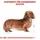 Royal Canin Dachshund Adult 2 x 7,5 kg