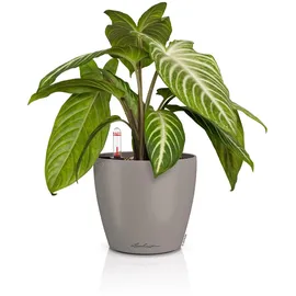 LECHUZA Classico Color 14 Ø 15 x 13,5 cm Sandbraun