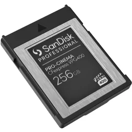 SanDisk PRO-CINEMA VPG400 Type B