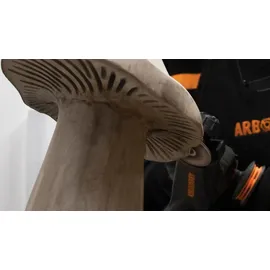Arbortech Mini Carver 900s Schnitzwinkelschleifer 1000 W