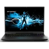 Medion Erazer Beast X40e, 17" QHD i7-14700HX 16GB/1TB SSD, RTX4070 Win11 MD62618