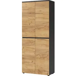 GERMANIA Aktenschrank Lissabon, 4266-549 grafit 4 Fachböden 80,0 x 40,0 x 197,0 cm