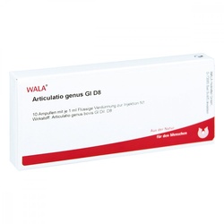 Articulatio Genus Gl D8 Ampullen