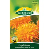 Quedlinburger Ringelblume ''Orangestrahlen''