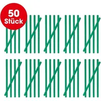 MAXXMEE Abflussreiniger-Sticks Apfelduft 50 St.