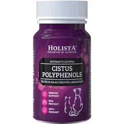 HOLISTA Cistus Polyphenole 90 Tabletten Reinheit Blattextrakt