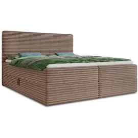 Sofnet Mollo 140 x 200 cm H3 Braun