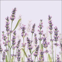 Ambiente 20 Servietten Papier 33x33cm 3-lag - hochwertige Einweg Papierservietten Lavendel Aquarell violett grün Landhausstil Sommer Feier Dekoration Tischdeko