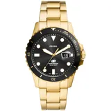 Fossil Blue Dive