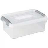 Curver Aufbewahrungsbox HANDY 29,4 x 19,4 x 11 cm 1-tlg. transparent, silber