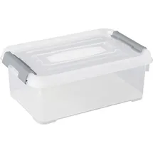 Curver Aufbewahrungsbox HANDY 29,4 x 19,4 x 11 cm 1-tlg. transparent, silber