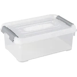 Curver Aufbewahrungsbox HANDY 29,4 x 19,4 x 11 cm 1-tlg. transparent, silber