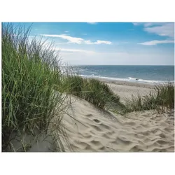 Wandbild ARTLAND "Dünenlandschaft im Sommer an der Nordsee", grün (farbe bild(er): grün), B:40cm H:30cm, Bilder, als Alubild, Outdoorbild, Leinwandbild, Poster, Wandaufkleber