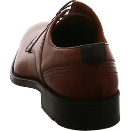 LLOYD Gala | Braun - 46,5