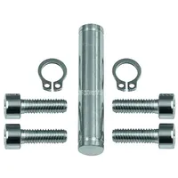 Riegler Schwenkgabelbefestigung, ISO 15552, ̃160