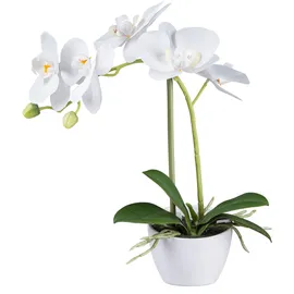 Creativ green Kunstorchidee CREATIV GREEN "Orchidee Phalaenopsis", weiß, H:33cm, Kunststoff, Kunstpflanzen, im Design-Topf
