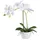 Creativ green Kunstorchidee CREATIV GREEN "Orchidee Phalaenopsis", weiß, H:33cm, Kunststoff, Kunstpflanzen, im Design-Topf