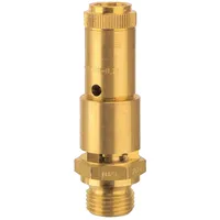 Riegler Sicherheitsventil DN 10, Messing, G 3/8, Ansprechdruck 0,7