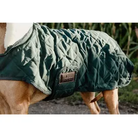 Kentucky Hundejacke Dunkelgrün 44-50 cm
