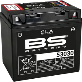 BS Battery 53030 31,6 Ah